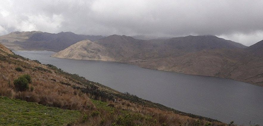 Antisana Ecological Reserve, Near Quito, Napo Province, Ecuador